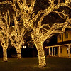 Johnson City Electric Company Christmas Lights